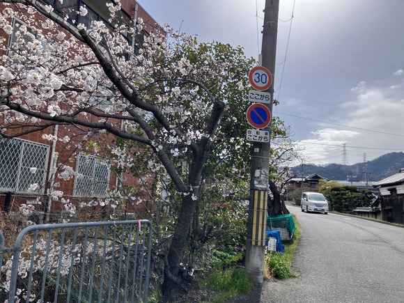 2025-04-02_09-13-03_266