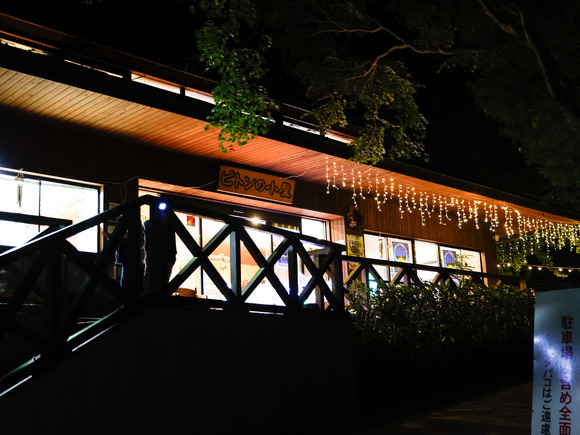 星のブランコイルミネーション