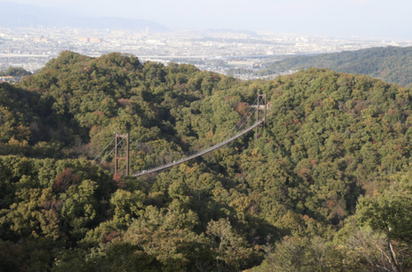 スクリーンショット 2023-11-28 21.27.17