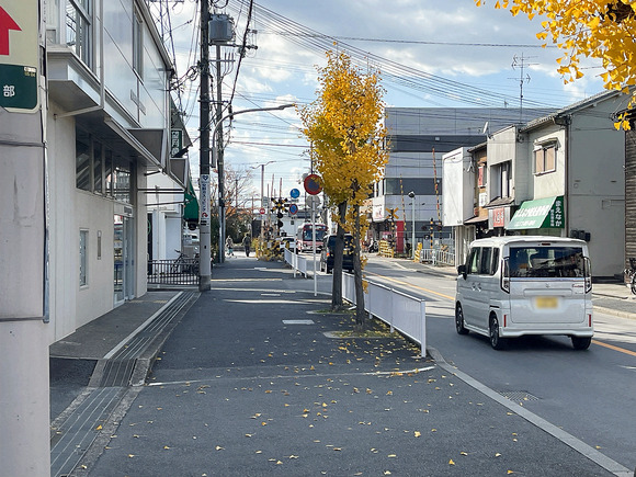IMG_7354-1.png