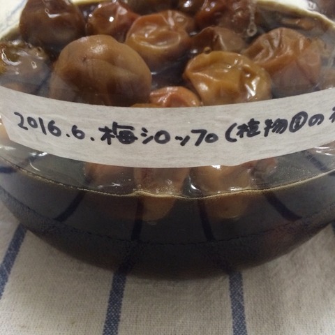 2016-06-20-07-27-52