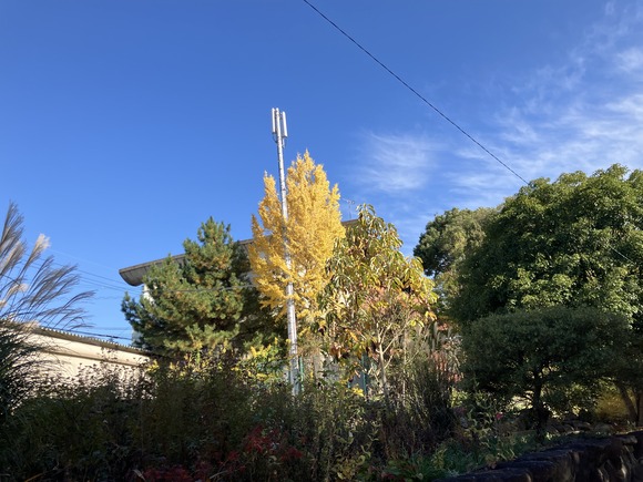 2024-12-05_14-07-38_587