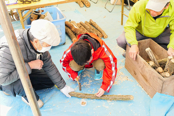 P1520742-1.png