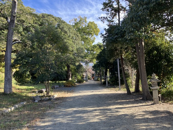 2024-12-05_14-08-02_197