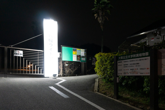 大阪公立大学附属植物園 202403274