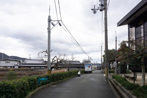 倉治 アオサギ 202402265