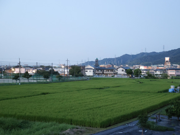 A59I8451-2