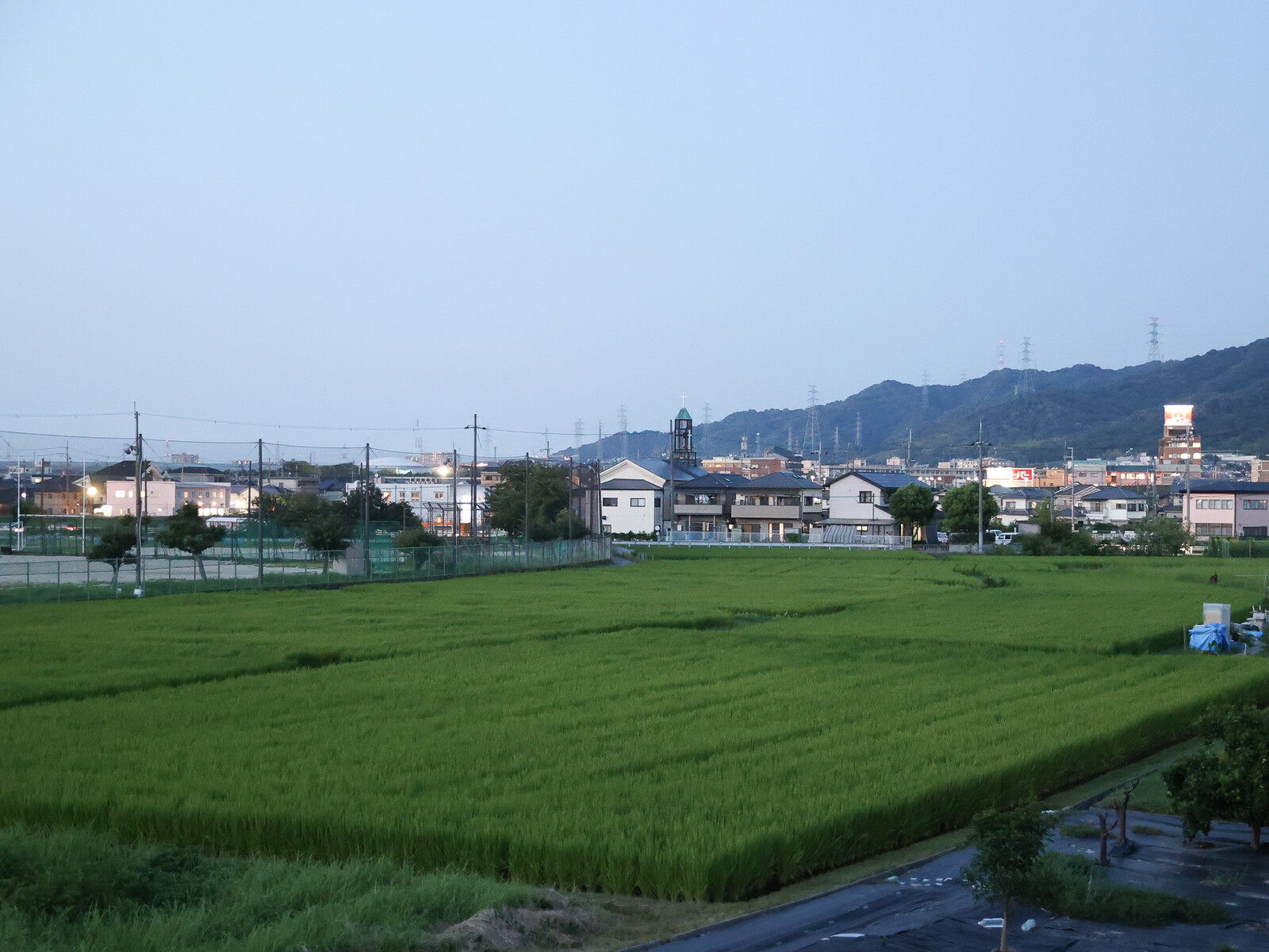 四中隣の田んぼの風景 : 交野タイムズ