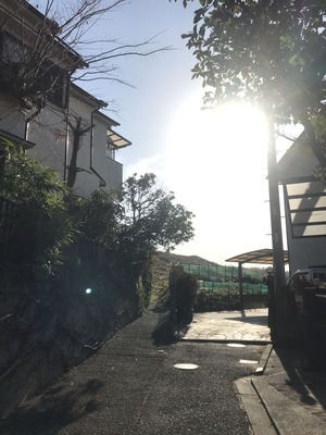 2D28334F-9059-4F88-9955-86D997C7BE0B