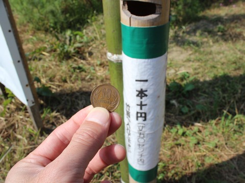 15-10-21-13-08-34-310_deco[1]