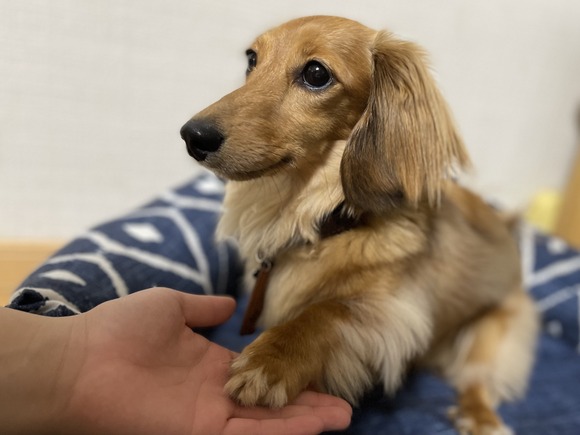 AC00BB02-51E6-47BD-B67B-BD8B3DA1B435