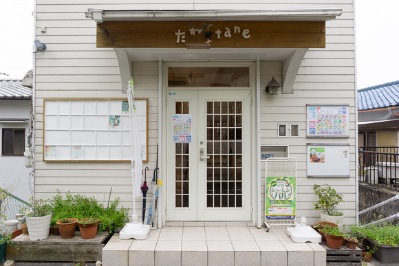 たねカフェ 202403175