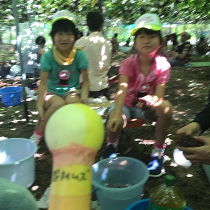 2017-07-22-11-06-33