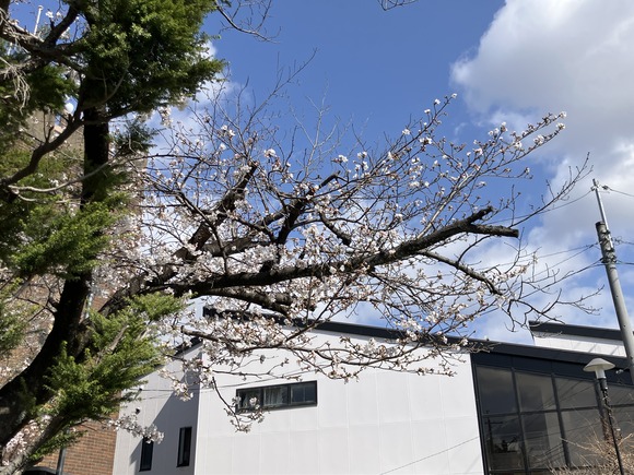 2025-04-03_09-25-34_913