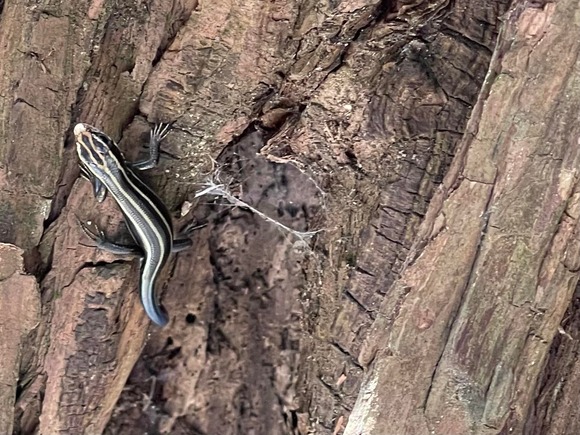 277797522_2549064268562272_8962945468748041872_n