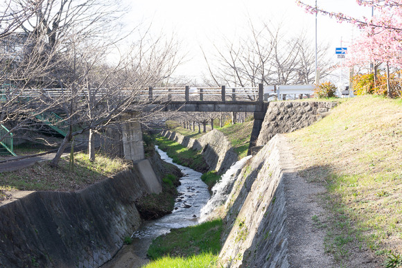 傍示川 202402248