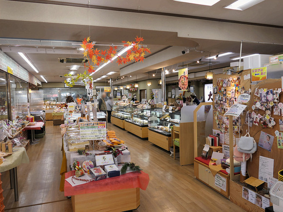 P1082633-1.png