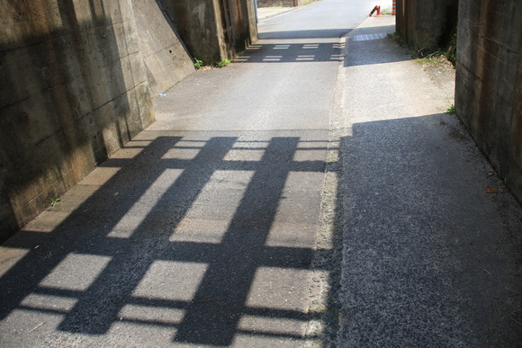 1M5A7752