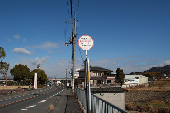 1M5A7807