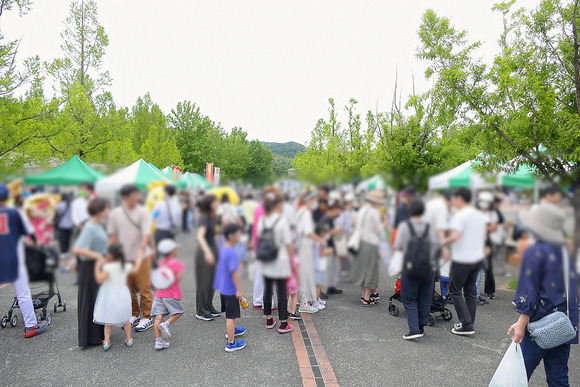 P1300995-1.png