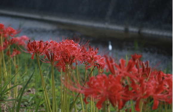 スクリーンショット 2024-09-19 21.20.54