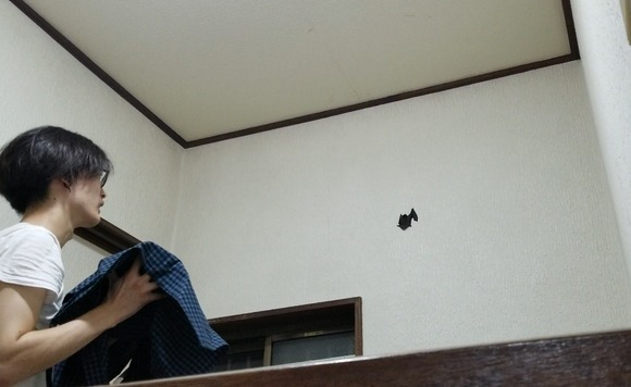 Screenshot_20210529-203958_Video Player