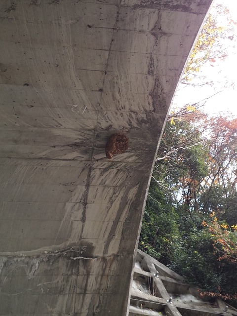 IMG_20161206_100940[1]