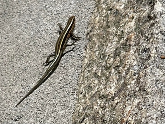 277810977_2549064121895620_1212166997980906534_n