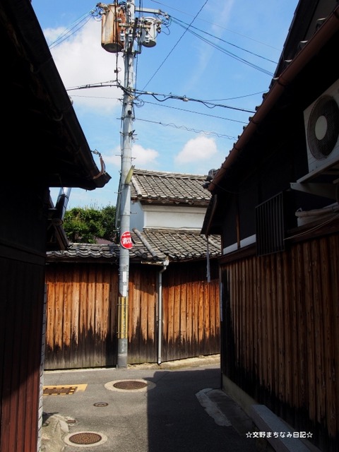 (1)P9110589
