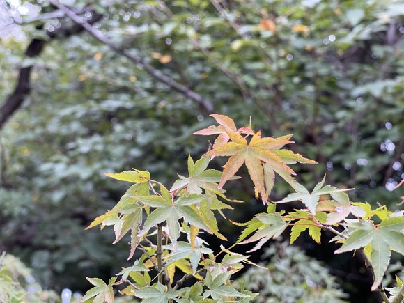 B18FEE0F-6097-48E6-AE7A-D6B42865E26C