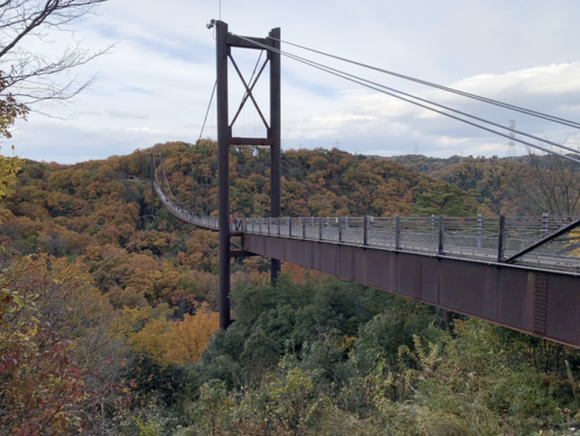 スクリーンショット 2025-11-07 17.45.29