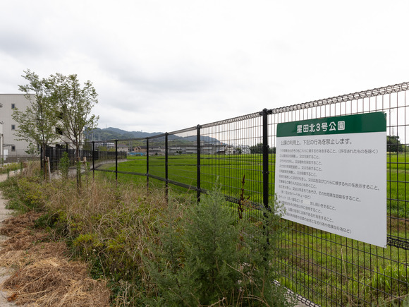 星田北3号公園240710016