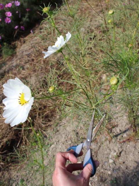 15-10-21-13-04-35-047_deco[1]