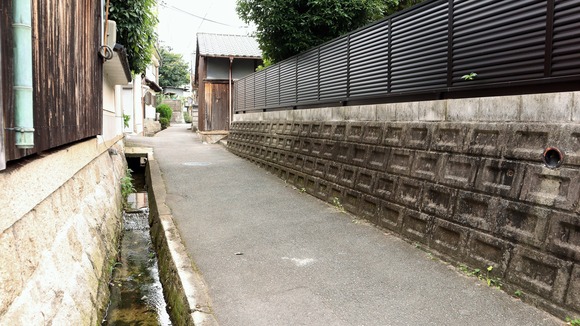 IMG_8105 (2)