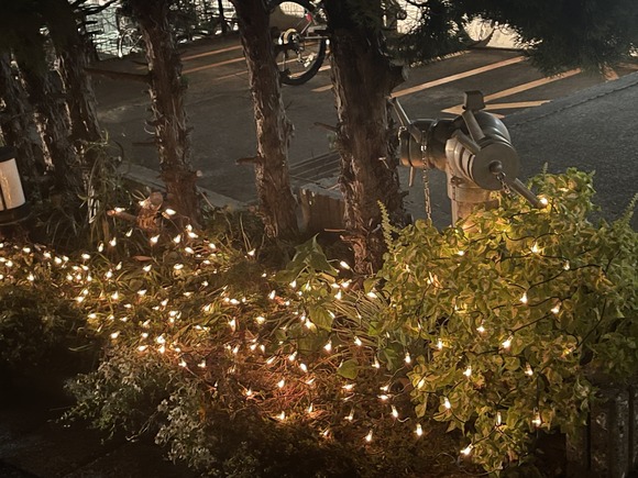 CCFA810E-F6E8-4152-800A-479E7AAE692D