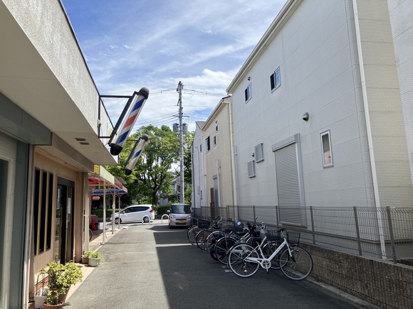 2024-08-28_12-46-20_588