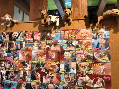 150898177_2178760582259311_6934672483605194831_n