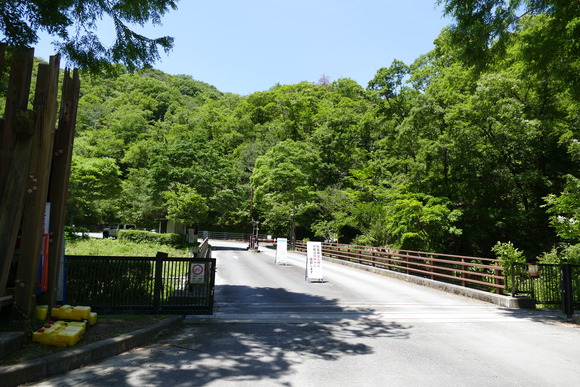 P1690549