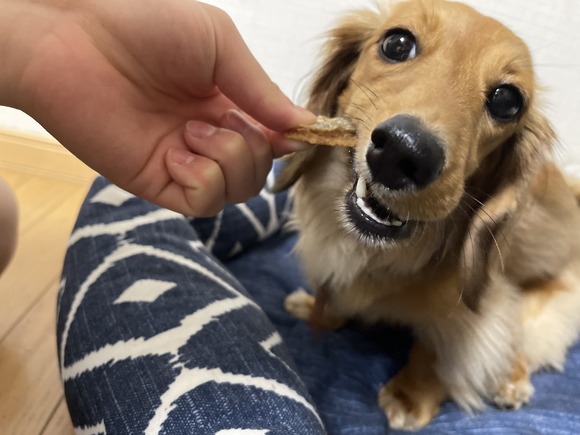 2A40BF13-8B51-474A-B130-9970C2C6C19B