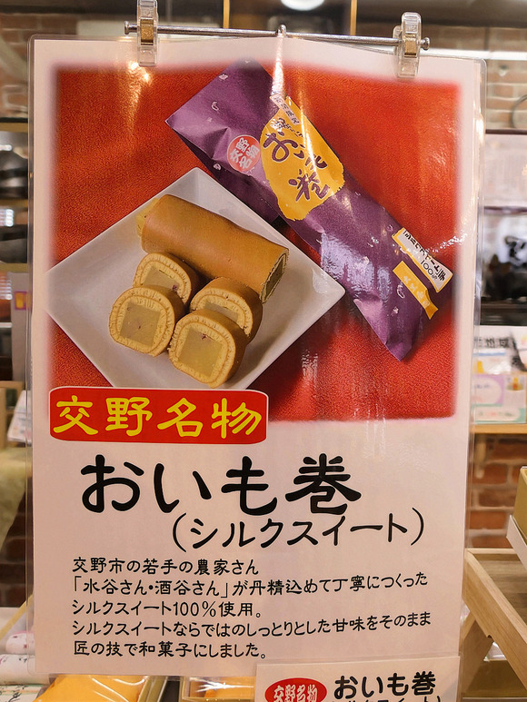 P1082642-1.png