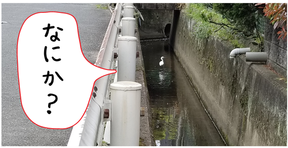 なにか? (2)