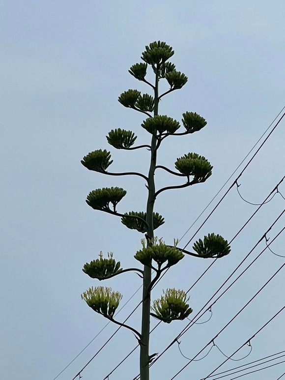 293986131_2634911719977526_9069551174746694452_n