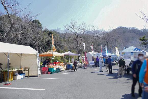 P1280384-1.png