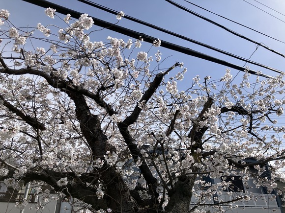 2025-04-02_09-13-49_129