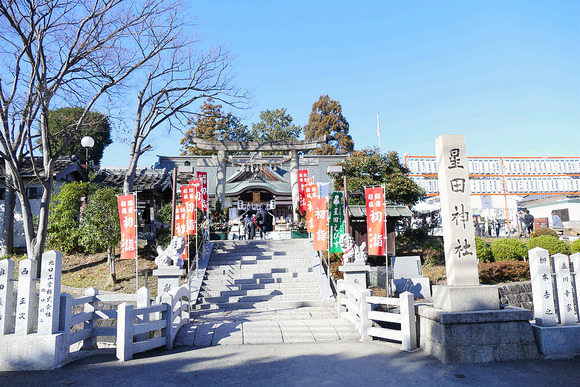 P1440672-1.png