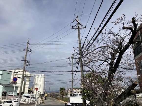 2025-04-02_09-13-35_323