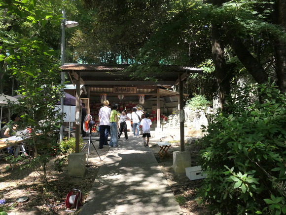 P1469721