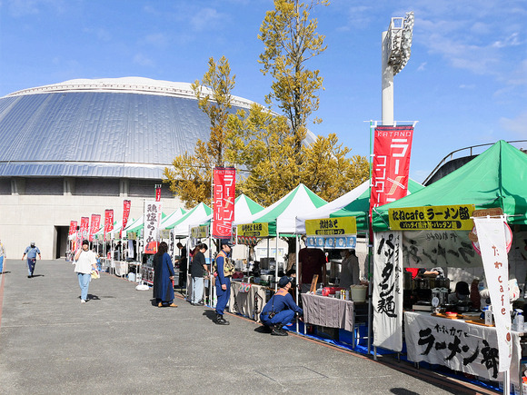 P1072018-1.png