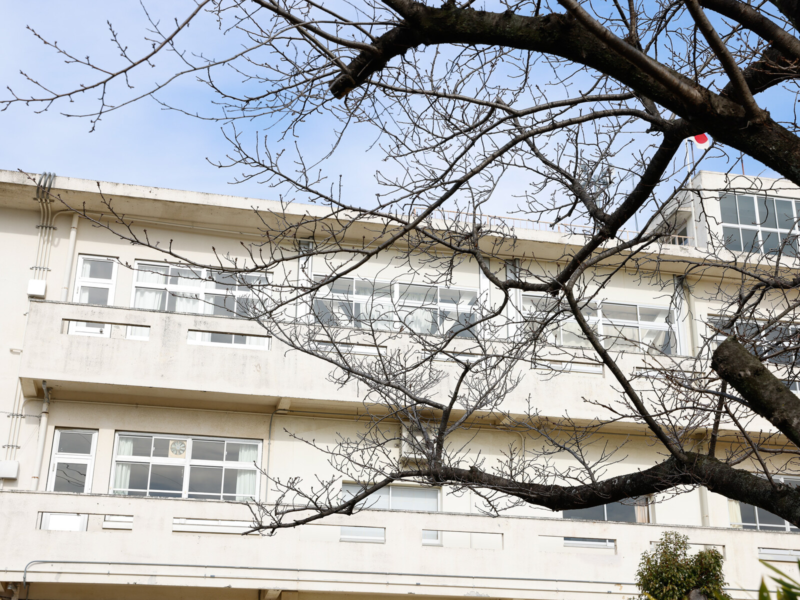 雙葉の母・神のはからいは限りなく・遠く地の果てまで】雙葉小学校