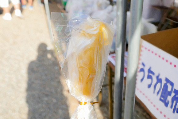 P1370955-1.png